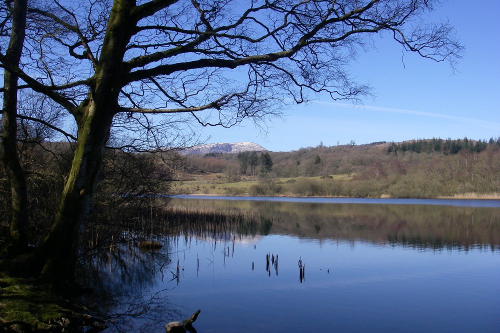 Blelham Tarn, March 2016.