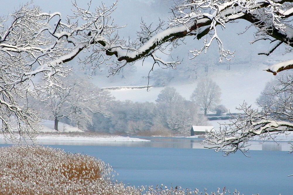 Esthwaite water, winter 2012.