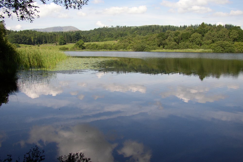 Blelham Tarn, SCM.