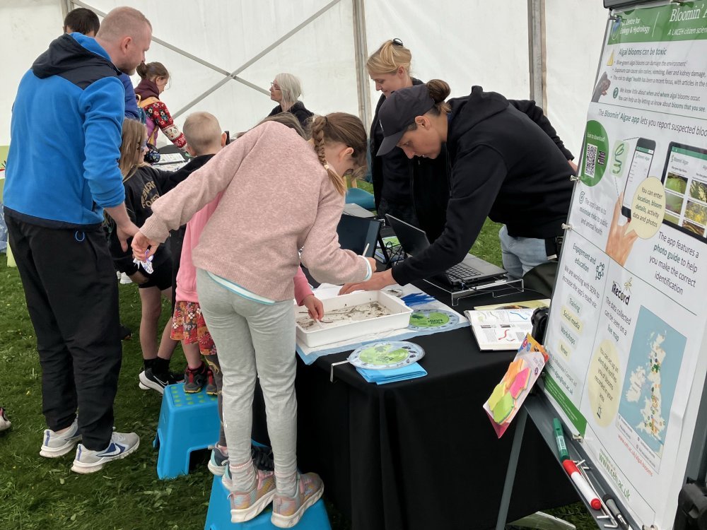 Local families enjoying the Discovery Day fun!