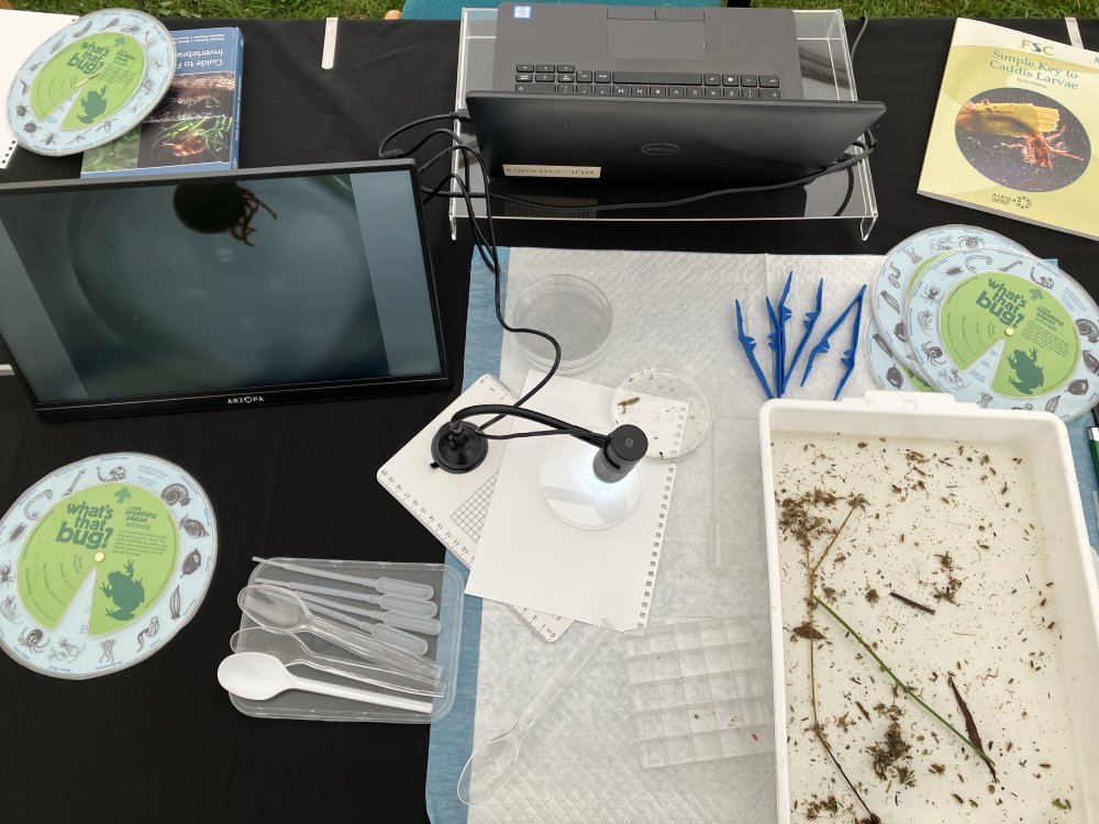 Overview of microscopes and Loch Leven beasties!