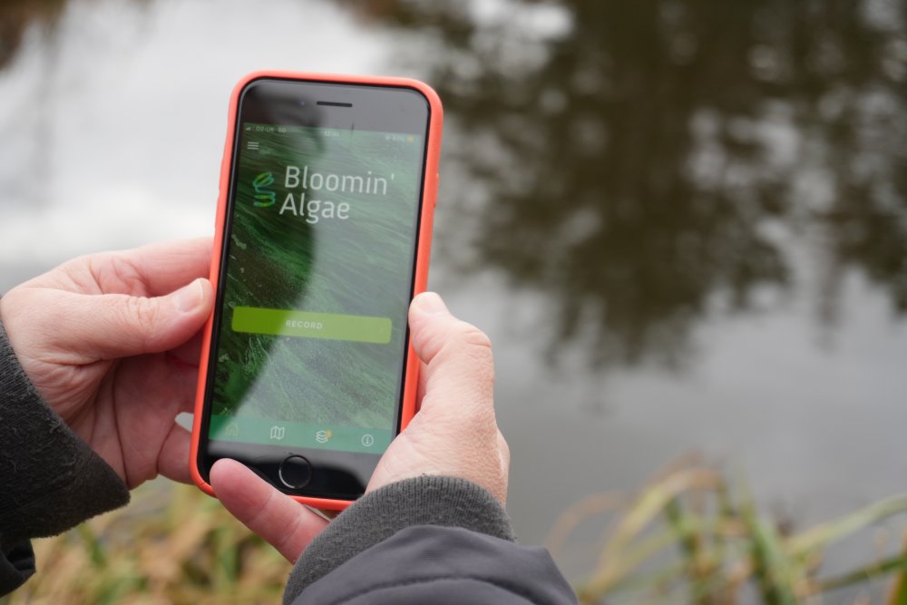 Hand holding phone showig algal app homepage