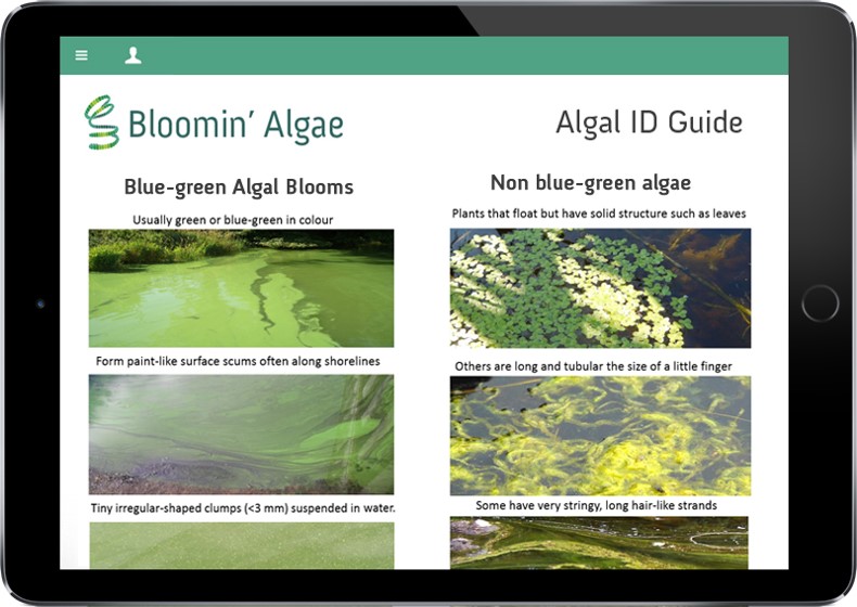 Pictures of blooms and floating plants.