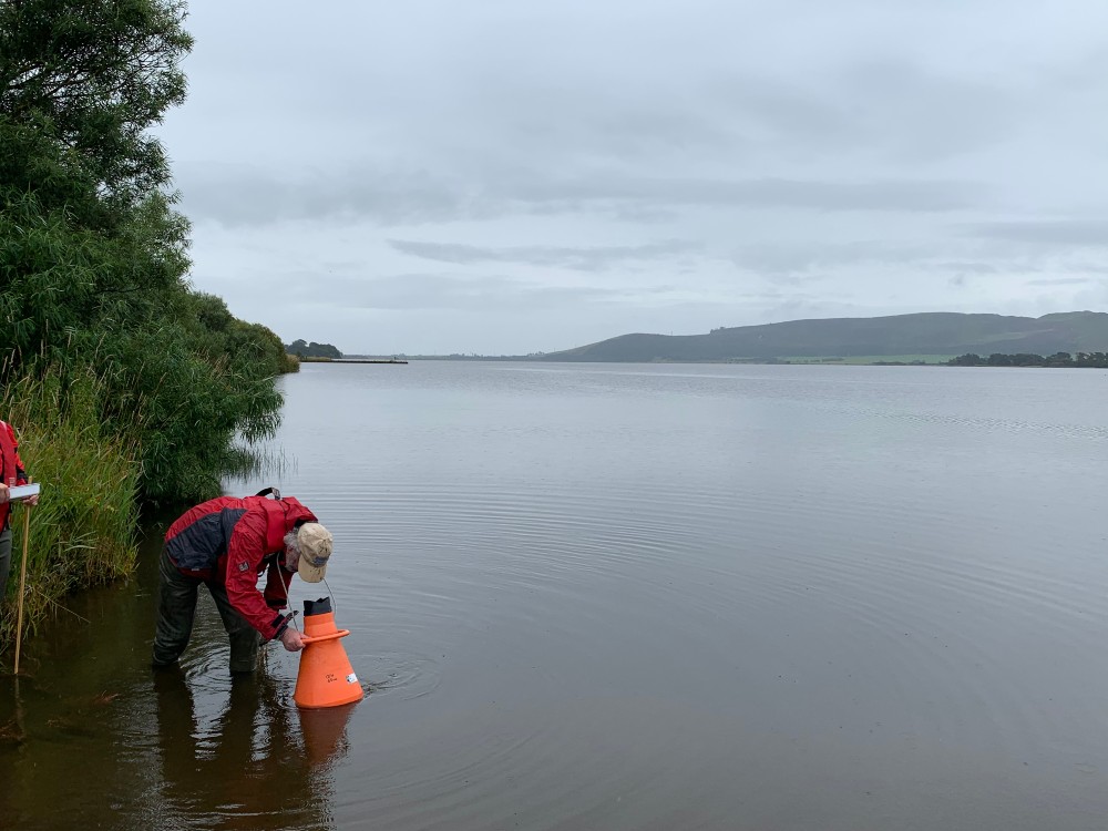 Aquatic plant survey using a bathyscope