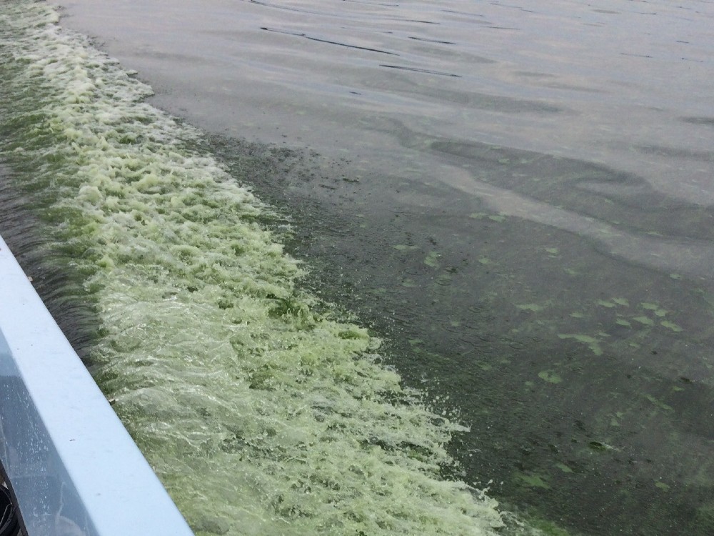 Green water