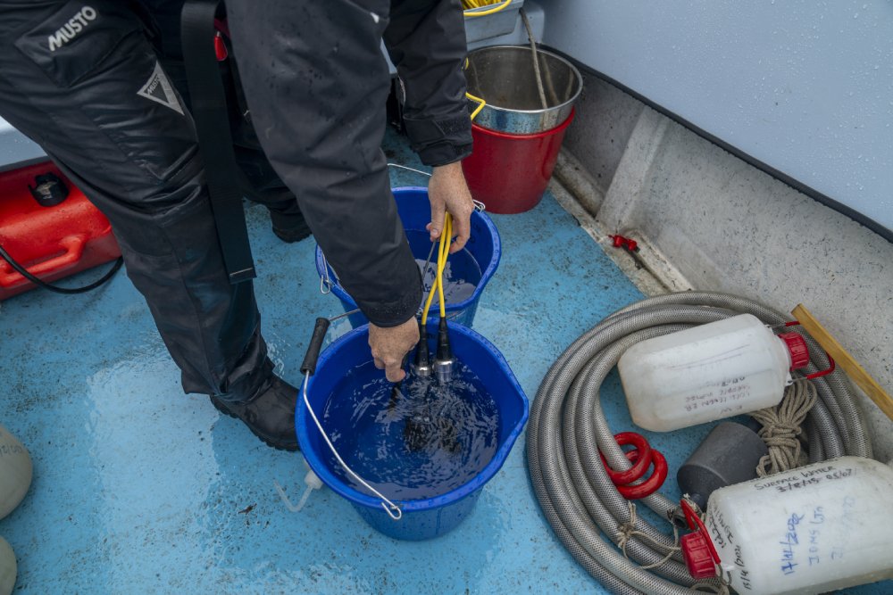 Measuring water chemistry with electric probes